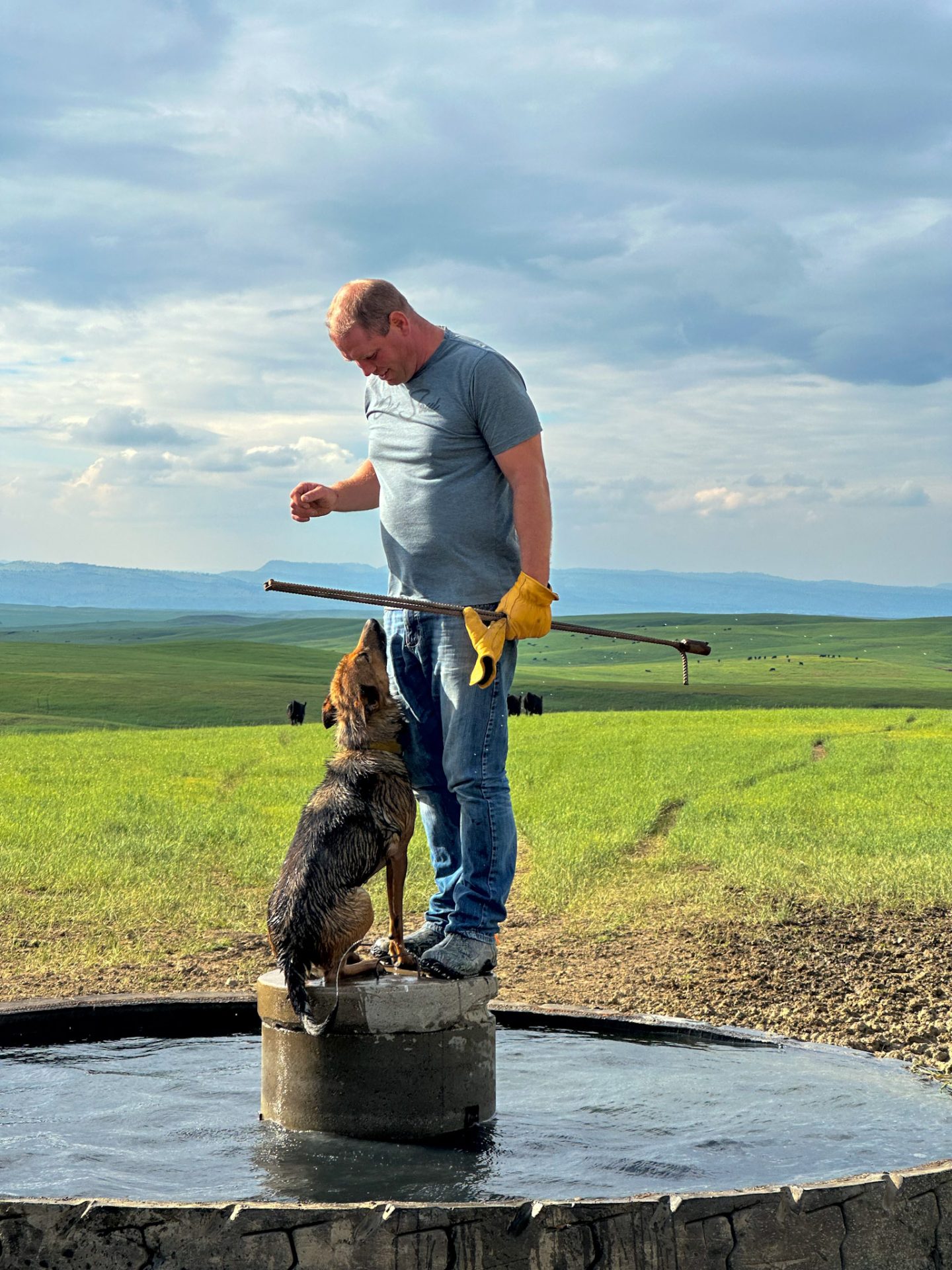 man training dog